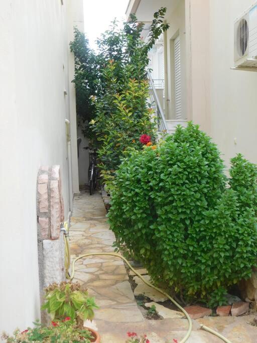 Studio Epicuros Nafplio Exterior foto