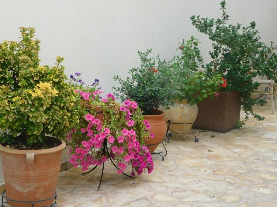 Studio Epicuros Nafplio Exterior foto